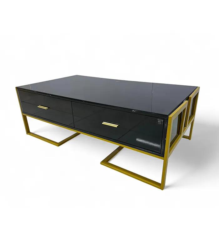 COFFEE TABLE (1310)